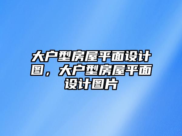 大戶型房屋平面設計圖，大戶型房屋平面設計圖片