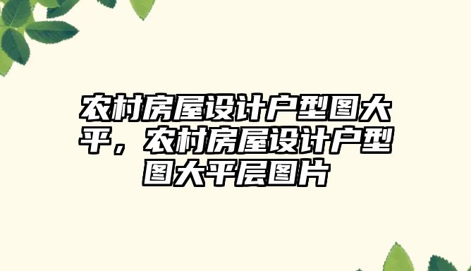 農村房屋設計戶型圖大平，農村房屋設計戶型圖大平層圖片