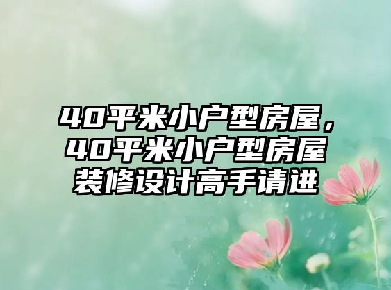 40平米小戶型房屋，40平米小戶型房屋裝修設計高手請進