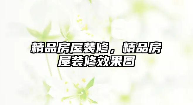 精品房屋裝修，精品房屋裝修效果圖