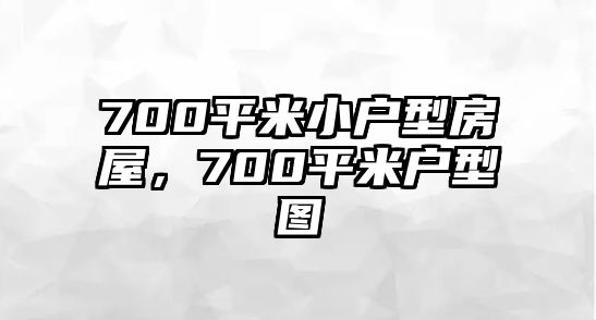 700平米小戶型房屋，700平米戶型圖