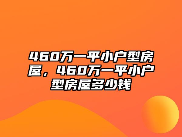 460萬(wàn)一平小戶型房屋，460萬(wàn)一平小戶型房屋多少錢(qián)