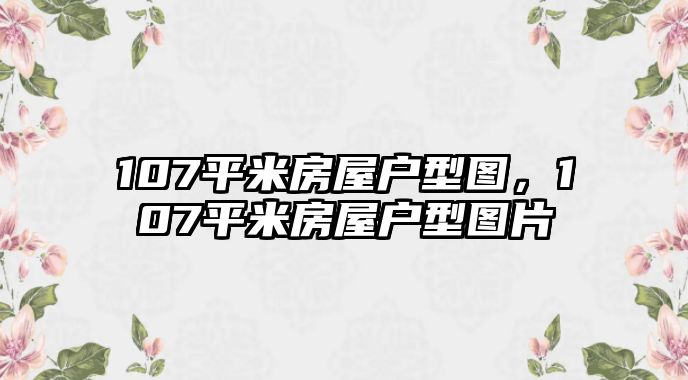 107平米房屋戶型圖，107平米房屋戶型圖片